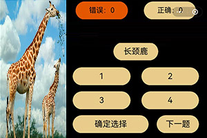 三国红颜最新手游