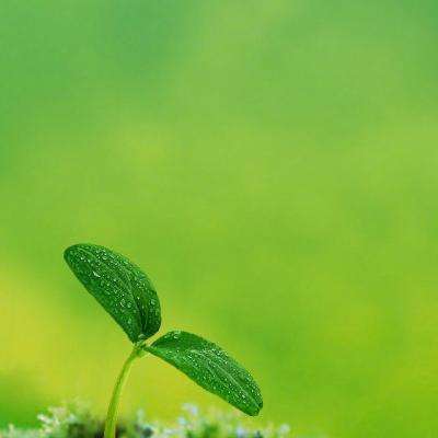 主公快点h5手游破解版下载